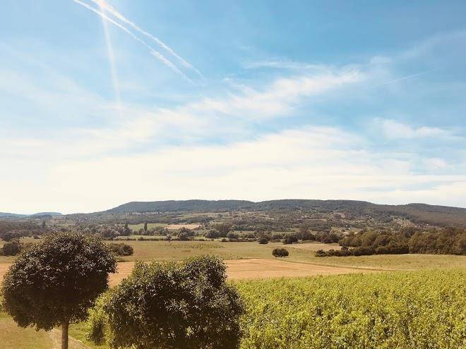 Liszkay vineyard estate