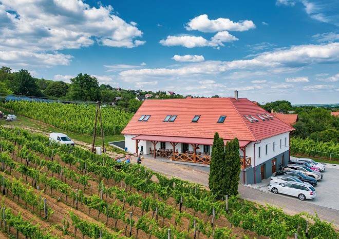 Kolonics pinceszet