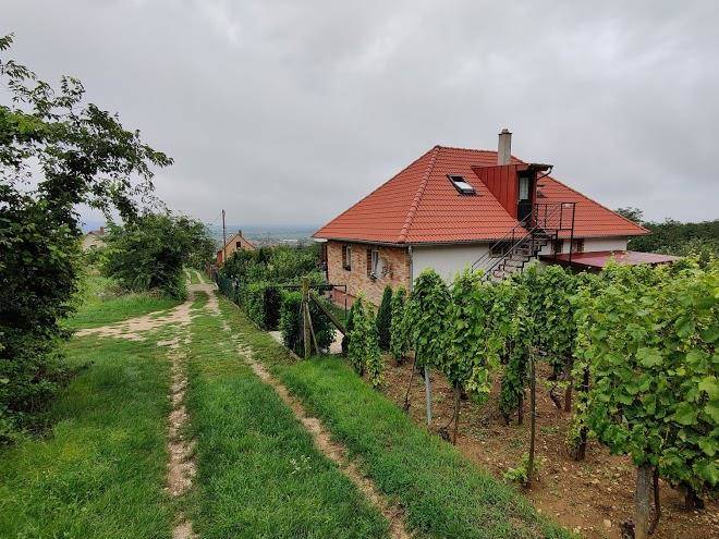 Szilvia Vendeghaz Sumeg Image