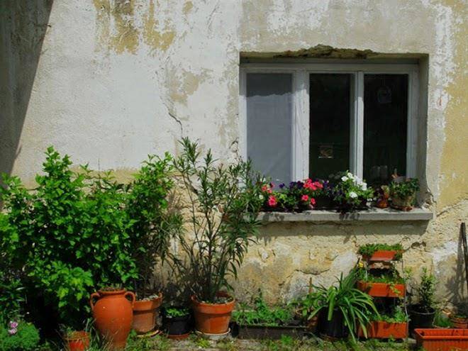 Teny Kep Human Kft Image