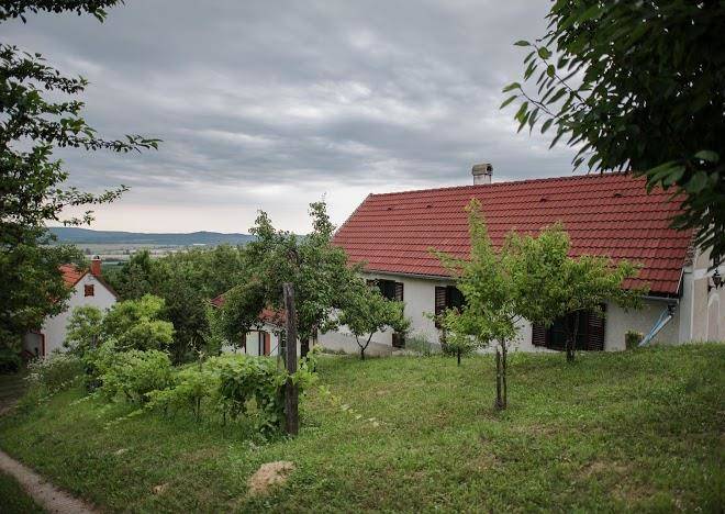 Hillside gasthaus