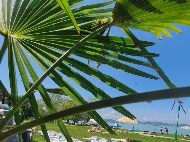 Legisly tihany beach