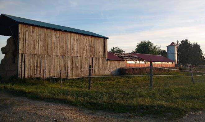 Proequus Horse Park Image