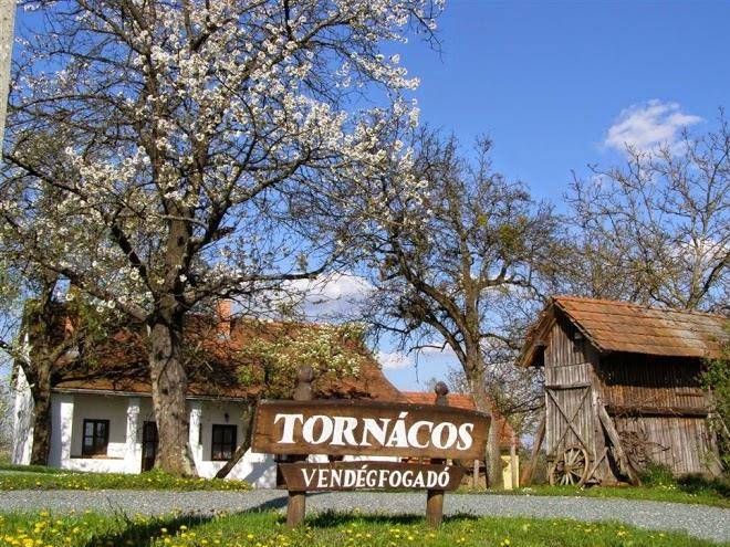 Tornacos vendegfogado