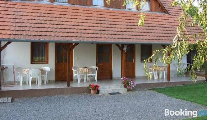 Ibolya Vendeghaz Image