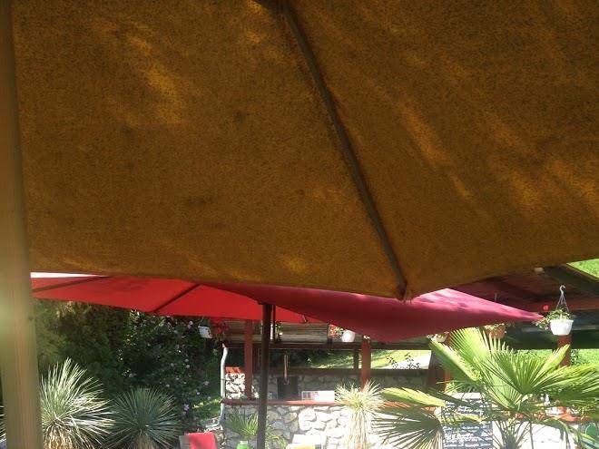 Aranyalma steakhaus & pansio