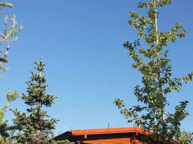 Bakkakot cabins 1