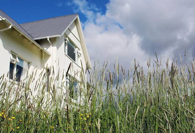 Mengi Kjarnholt Image