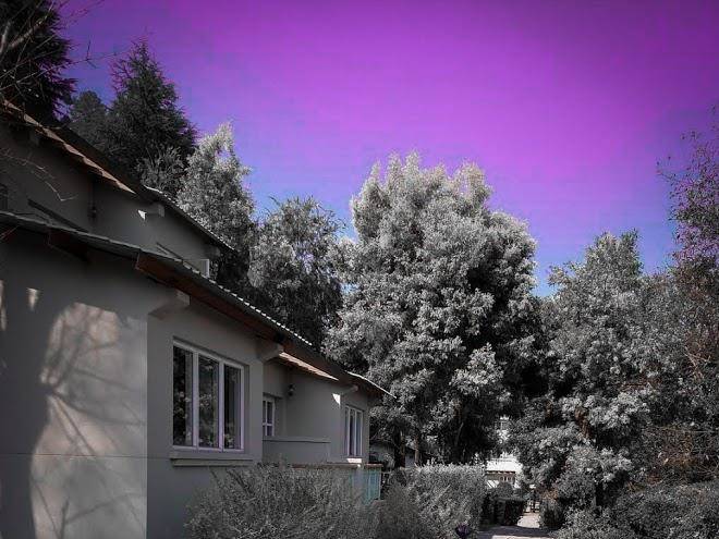 Grand oak manor