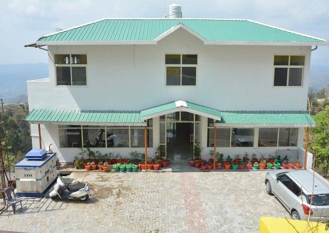 Rock wood hotel
