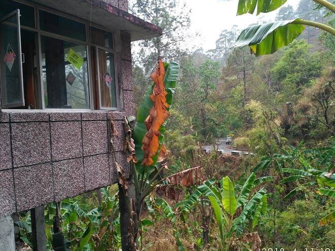 Hotel adarsh and resorts