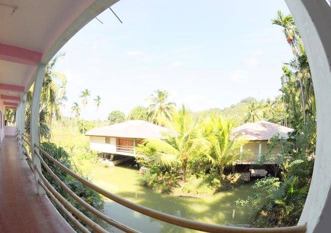 Palm grove eco resort
