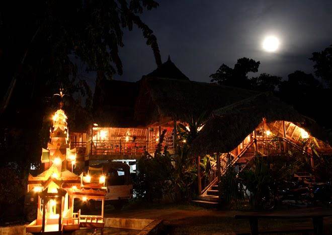 The Wild Orchid Resort Image