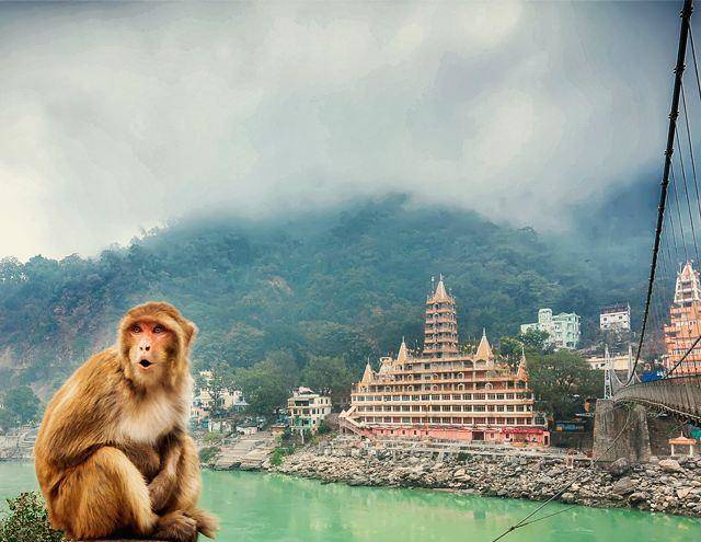 Hipostel rishikesh