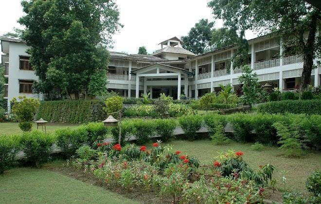 Iora the retreat kaziranga