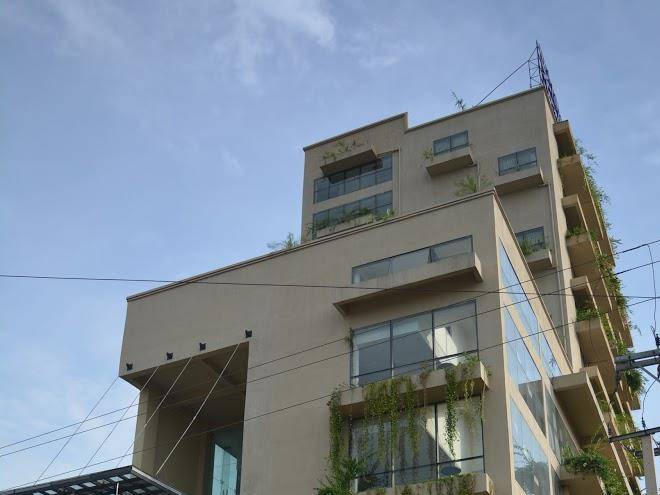 The lily hotel