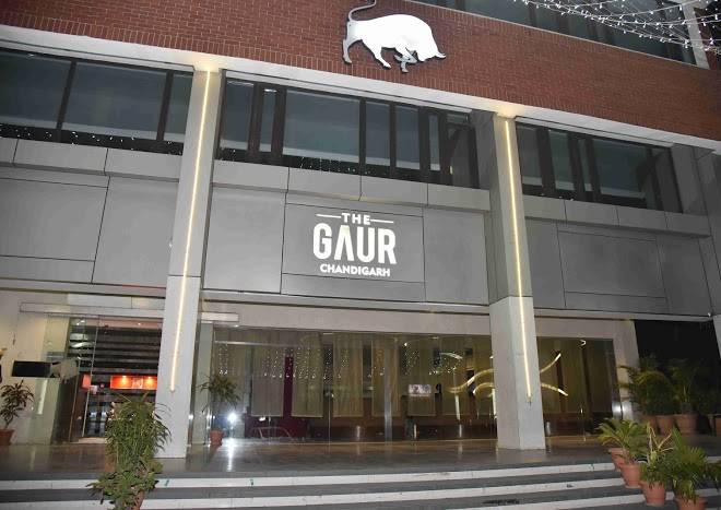 The gaur