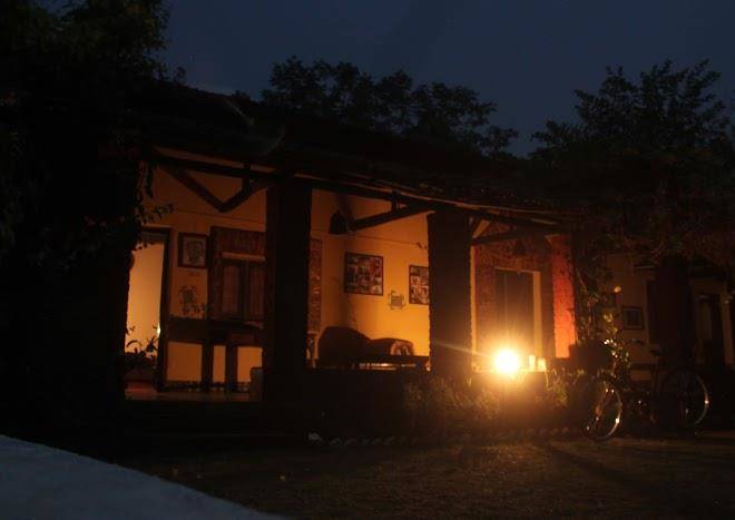 Bhoramdeo jungle retreat