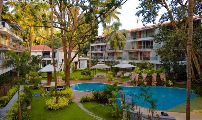 Aarju luxurious wave