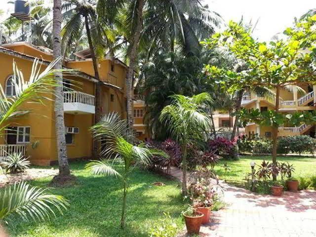 Palm resort
