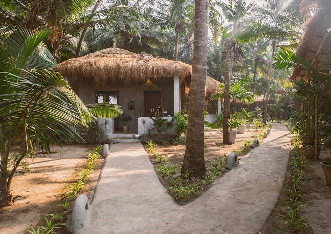 Palm grove beach resort