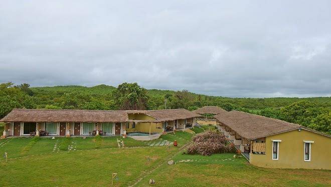 Asiatic lion lodge sasan gir resort and hotel