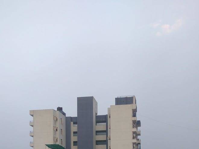 Hotel golden tree
