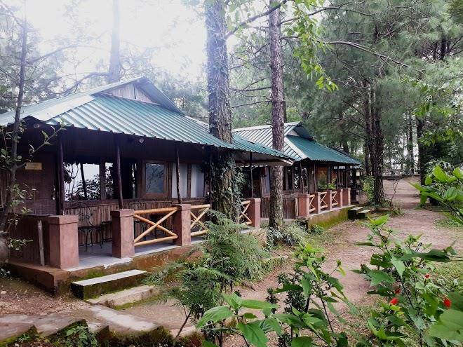 Park woods shoghi shimla