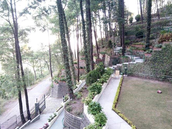Long view