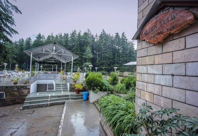 Golden tulip manali