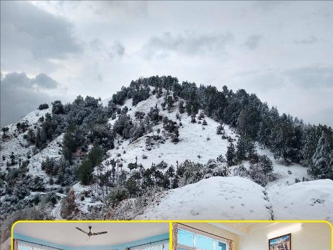 Raikot resort shimla