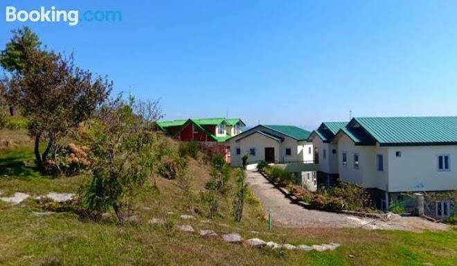 Cedar snow view resorts