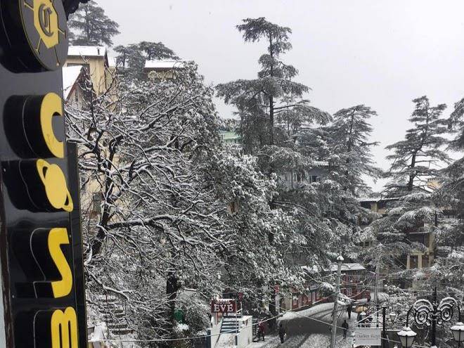 Cosmos hotels
