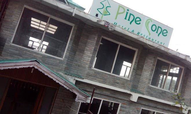 Hotel pinecone