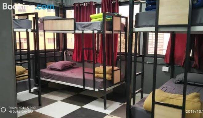 Bungee Bunks Image
