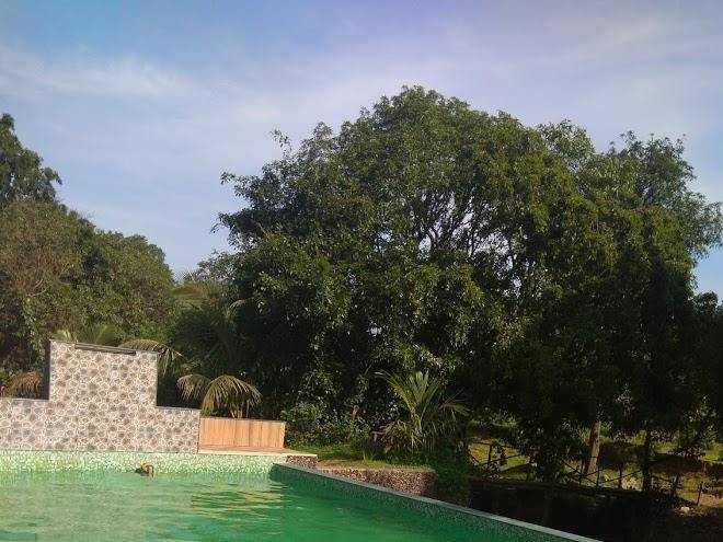 Dandeli dreams jungle resorts