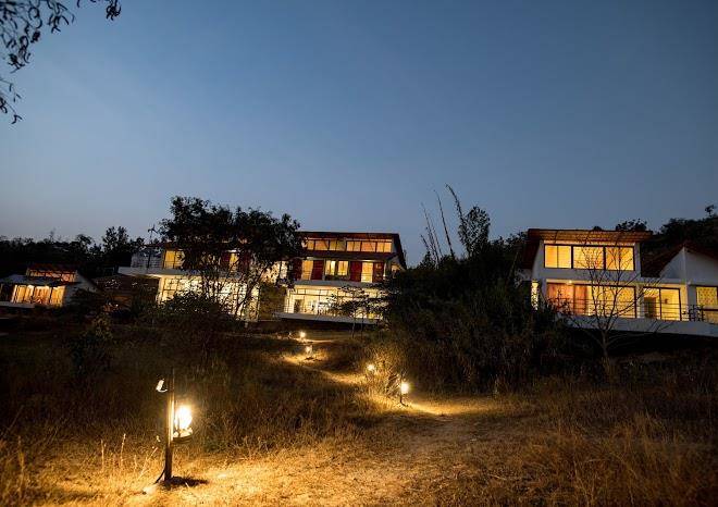 Dhole's den bandipur