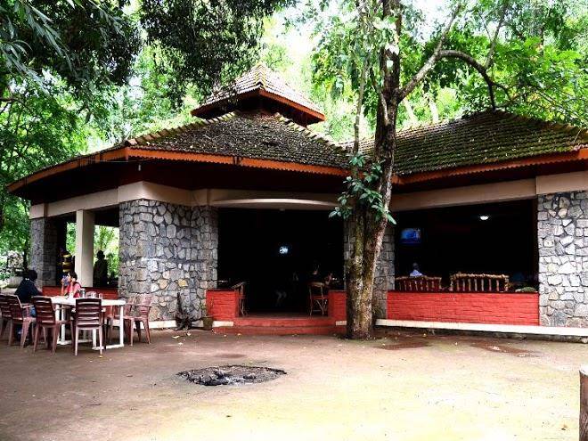 Dandeli fun