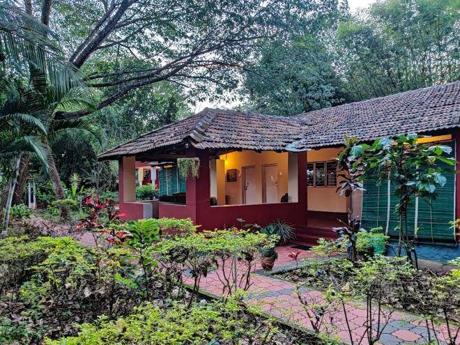 Jungle inn