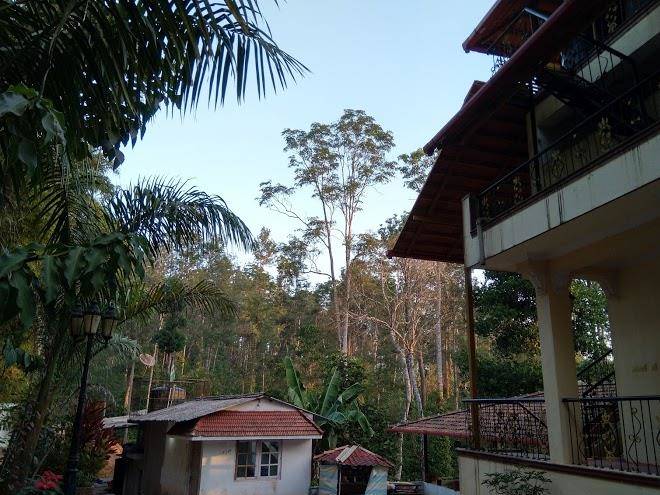 Green nest plantation stay