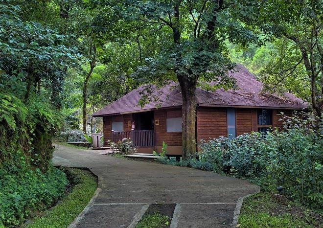 The tamara coorg