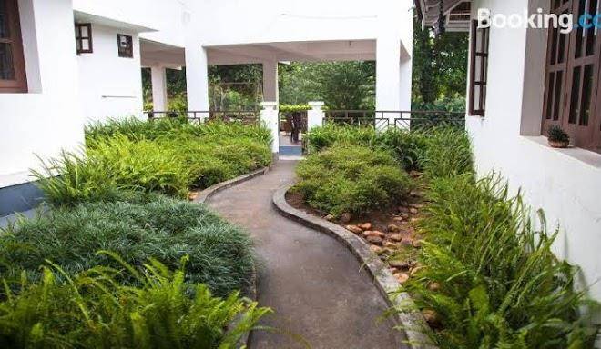Pepper vines homestay