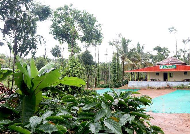 Coffeeinn homestay