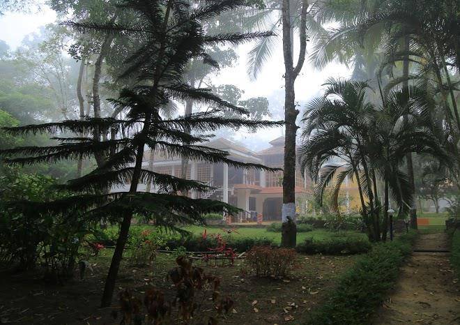 Coorg county resorts