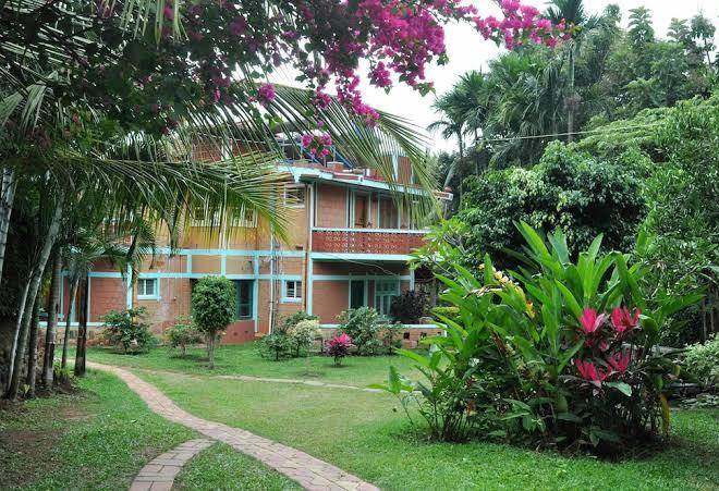 Coorg jungle kids resort