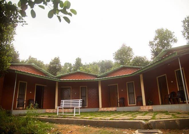 Yedamakky plantations