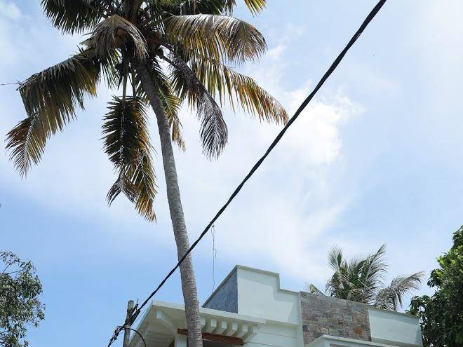 Alleppey waves