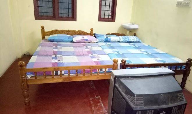 Betel leaf lodging