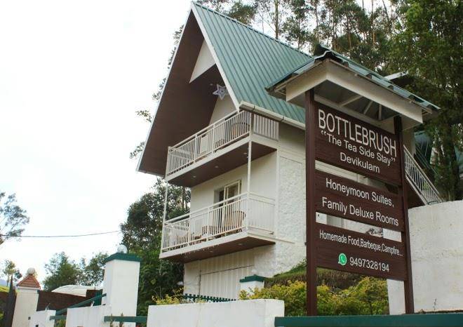 Bottlebrush the tea side stay
