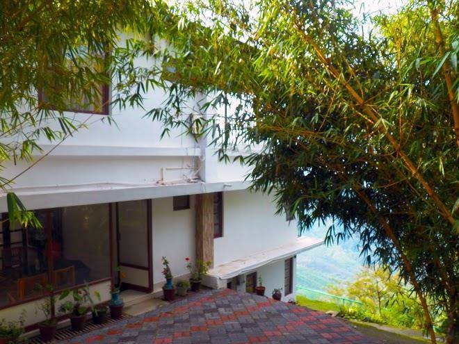 Green magic home